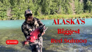 Fishing for HUGE "Fire Engine Red" Salmon in Alaska!!! - Salmon Fishing on the Russian River Alaska.