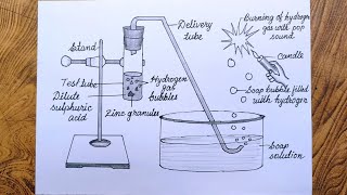 How To Draw Reaction Of Zinc Granules With Dilute Sulphuric Acid And Testing Hydrogen Gas By Burning