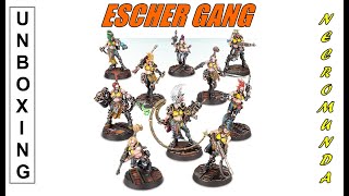 Unboxing - Necromunda Escher Gang