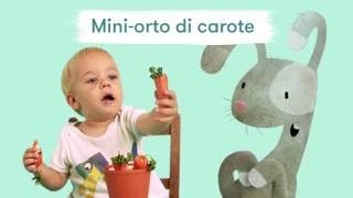 Mini-orto di carote