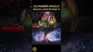 333 NUMAR ANGELIC-MESAJ DIVIN IN VIATA TA #shorts