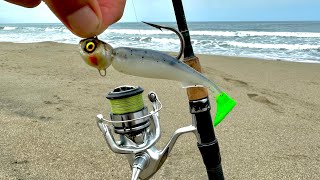 PESCA de PLAYA con PLÁSTICOS || PESCANDO PARGOS de ORILLA en LA PAZ BCS.