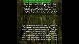 Коран Сура Аль-Кахф |18:28 | Чтение Корана с русским переводом | Quran Translation #quranrecitation