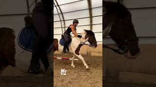 Заканчиваем второй месяц конкурных тренировок 👍 Алиса и Лунтик. #horse #лошади