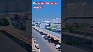 Experience DUBAI Like a Local with Habibi | habibi come to dubai |come to dubai #travel #shorts#dxb