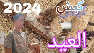 vlog البحث عن كبش #vlog