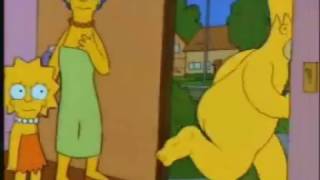 Homero ya te vi la conciencia - Callate Flanders