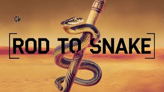 Moses' AMAZING Miracle Rod Turns to SNAKE!