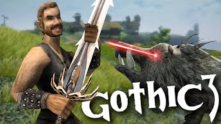 Tödliche Wildschweine • Held in Gothic 3