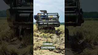 COMBINE HARVESTER #combineharvester #mesinpertanian #mesinpanenpadi