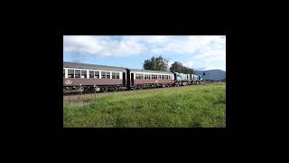 Kuranda Scenic Railway Cairns Queensland. #shorts #railfan #queenslandrail #dieseltrains #kuranda