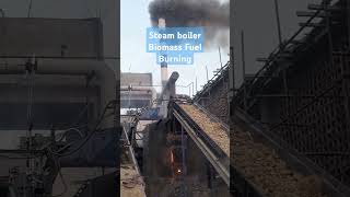 biomass fuel steam boiler #shorts #viral #steam #boiler #textile #clothing #fabric #foryou