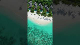 Milaidhoo Maldives is SO BEAUTIFUL from the sky 🤩🏝️ #luxuryresorts #maldives #luxurytravel