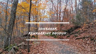 Kanada Sonbahar Renklerini Görelim/Huzur Verici Yürüyüş/Hardwood Lookout Trail-Algonquin Park 2020