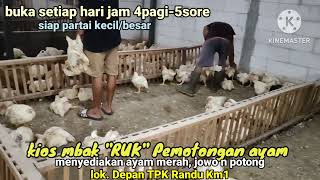 Rumah Pemotongan n Pembubutan Ayam mbak RUK siap melayani partai kecil n besar, Monggo...