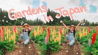 PLAYING WITH BUNNIES IN JAPANESE GARDENS! | MISAWA, JAPAN