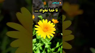 تا خدا نخواد/رادیو آگاهی  #shorts