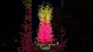 Desert Botanical Garden featuring Chihuly Glass...WOW! ! !