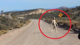 Area 51 Alien Sighting 2016