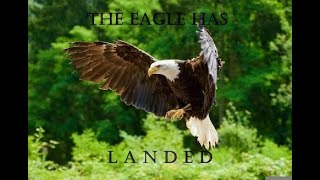 The EAGLE HAS LANDED  🪨🦅 👨‍🚀 ⚡⚔️ #holyspirit #speakingintongues #yhwh #propheticprayers #love