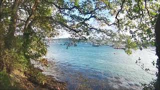 Mylor Creek, Cornwall - An Autumn Walk