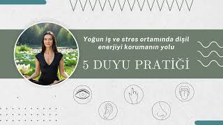 5 DUYU MEDİTASYONU. YOĞUN İŞ TEMPOSUNDA DİŞİL ENERJİYİ KORUMANIN YOLU.