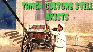 Peshori Tanga - Tanga Cultural  Still exists in Peshawar - Tangha Culture