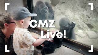 CMZ Live