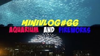 MiniVlog#66-AQUARIUM AND FIREWORKS