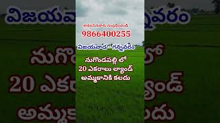 Land for Sale in Nugondapalle | Gannavaram | Vijayawada | నుగొండపల్లి | 9866400255 |#krishnadistrict