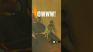 The gerudo are attacking me!#botw #zelda #funny