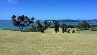 Bay of Islands, New Zealand / Ramir's Vlog