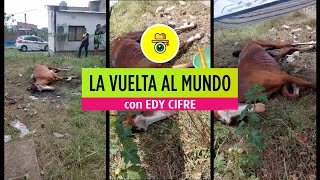 LA VUELTA AL MUNDO 🌍 CON EDY CIFRE P150