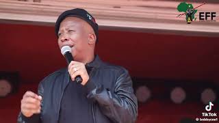 CIC Julius Malema send a clear message to Afriforum