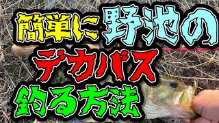 野池のデカバス釣りたい‼︎