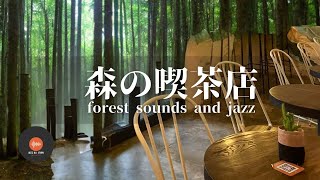 Ambient sounds + JAZZ Gentle forest coffee shop Relaxing work/study CAFE MUSIC - BGM for work