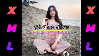 what Ever It's Take//Xml file check in description box/whatsApp status🔰|AM preset/@REditzOfficial]🎶