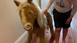 Butterscotch Pony