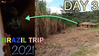 Mission Cat-Possible | Day 3 | The Brazil Trip Vlog: 2021