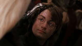 Your scar is legend. Harry Potter and the Chamber of Secrets.