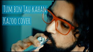 Tum bin Jaun Kahan | Kazoo Cover