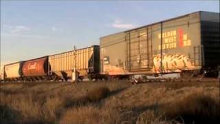 California Northern Railroad Working in the Sacramento Valley