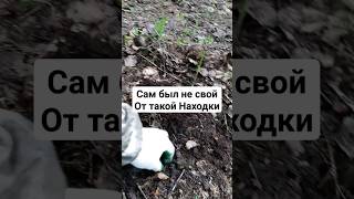 Сам был не свой от такой Находки #metaldetecting #лес #coin #копмонет