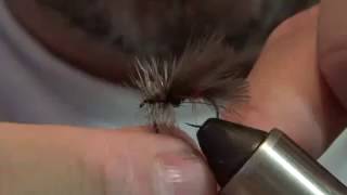 How to Tie CDC Caddis Dry Fly