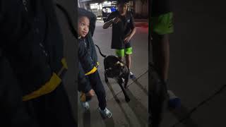 Cane Corso (Baqi) Night Walks 🚶‍♂️with kids..