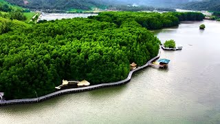 Pantai Dewi Mandapa | Wisata Hutan Mangrove di Pesawaran | Lampung