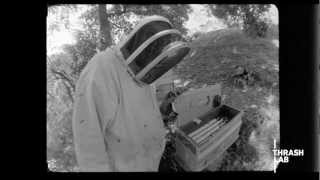 The Life of an Urban Beekeeper (Filmed on a Bolex)