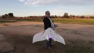 RC Delta Flying Wing Ducted Fan Airplane