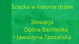 Scieżka w koronie drzew   Słowacja