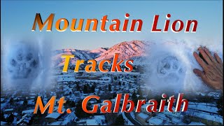 Mountain Lion Tracks & Hiking Trails overview, Mount Galbraith, Golden Colorado!